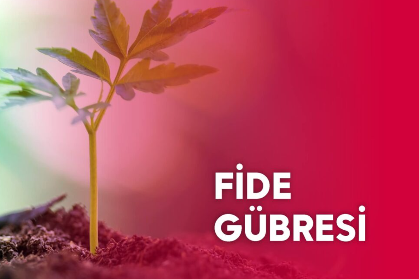 Fide Gübresi Nedir?